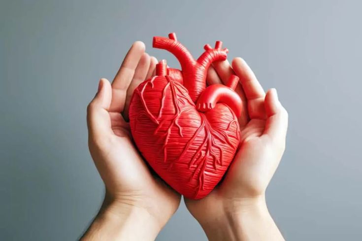 Prevenção Cardiovascular no Esporte: Coração Forte para Performance Máxima