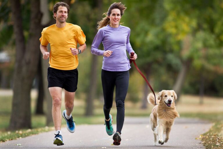 Correr com seu cachorro virou um negócio bilionário