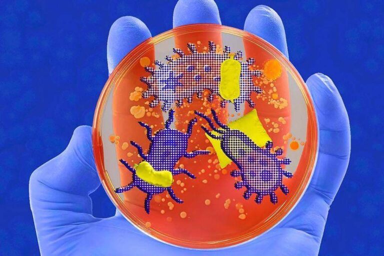 A cura da sua insônia pode estar no seu intestino.