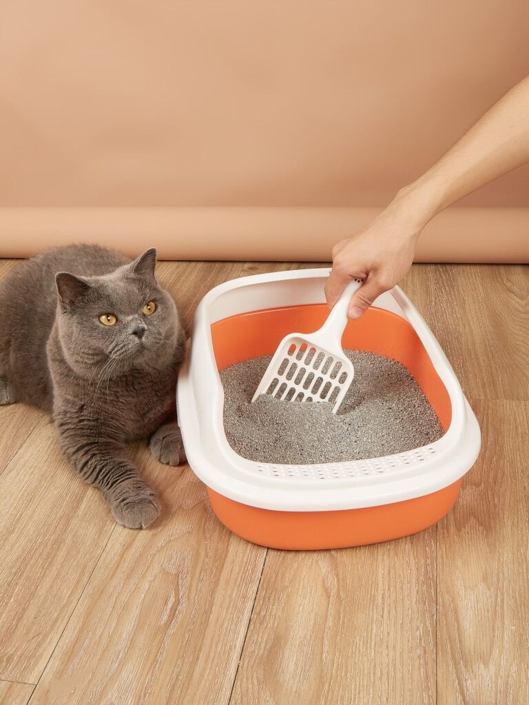 Como a dor de perder um gato virou uma startup de areia de gato?