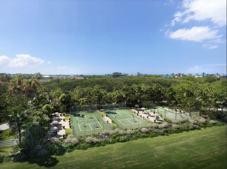 Pickleball: O Esporte que Virou a Nova Aposta do Mercado Wellness