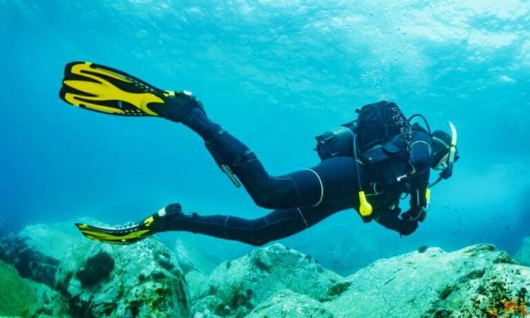 Mergulho virou a nova febre do wellness?