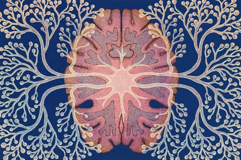 O Alerta Silencioso: Como a Menopausa Redesenha seu Cérebro