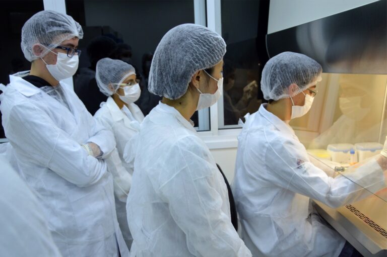 Anvisa autoriza Fase 1 de terapia brasileira para lesão medular