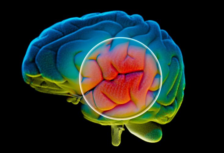 Nova droga mostra impacto biológico inicial no Parkinson