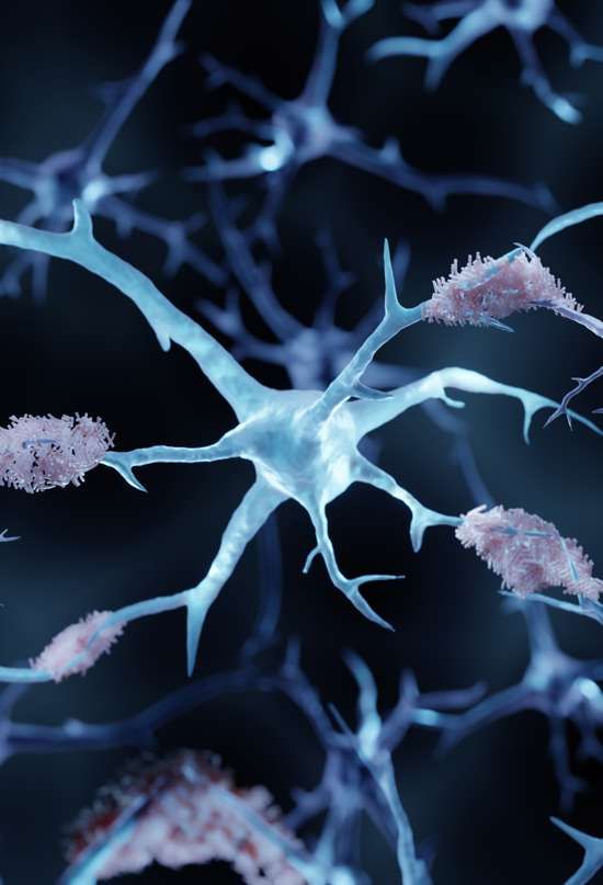 O cérebro usa o amiloide como ferramenta, desde que exista controle