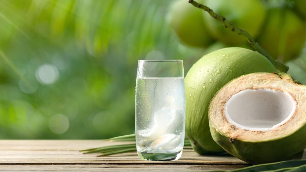 Água de coco vira tendência e deve movimentar 5 bilhões até 2025