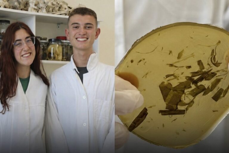 Brasileiros de 17 anos vencem prêmio internacional com curativo biodegradável
