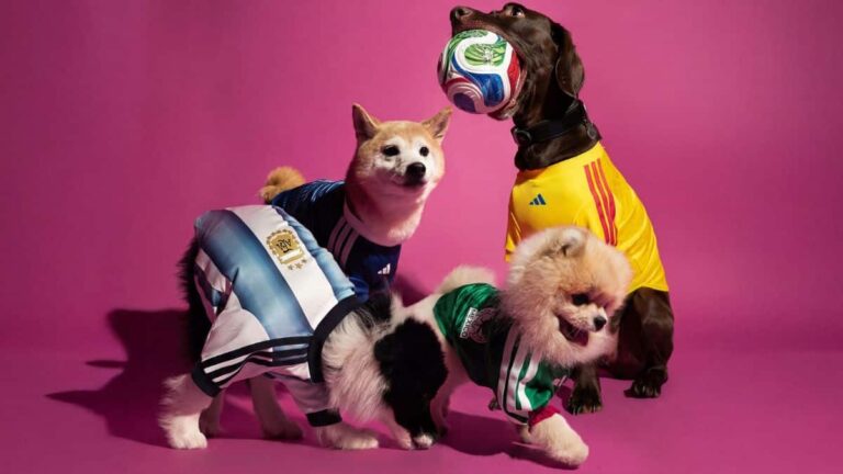 Adidas transforma uniformes da copa em uma coleção focada nos pets