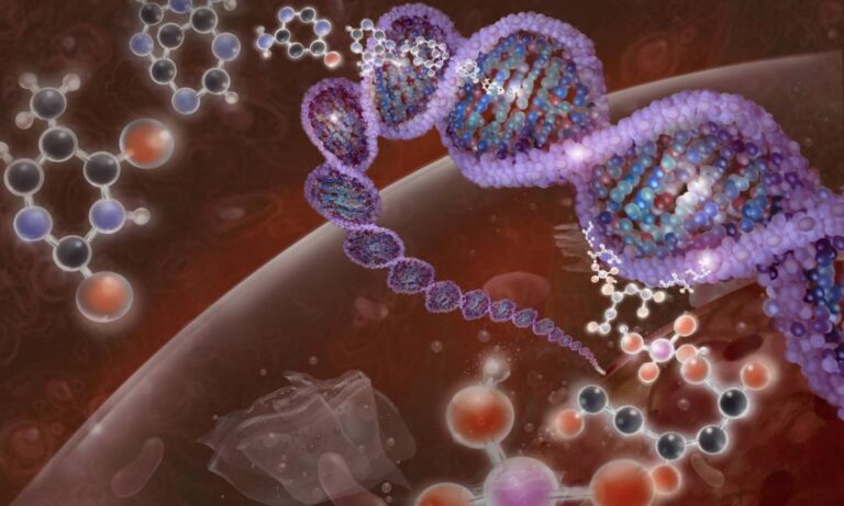 Cientistas acabam de descobrir molécula que regula seu sono completamente