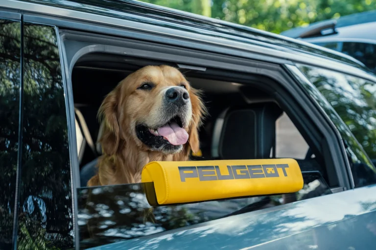 Peugeot lança carro pensado inteiramente no bem-estar dos cachorros