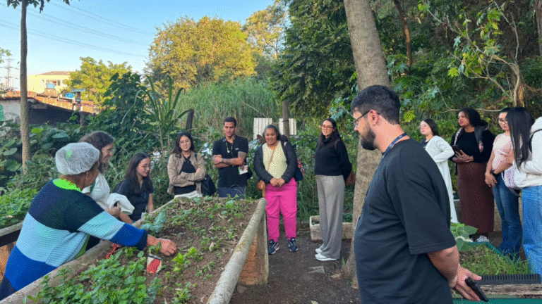 São Paulo abre a maior operação de segurança alimentar do mundo para futuros nutricionistas