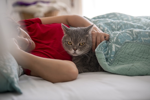 🐾 Seu gato verifica se você está vivo durante a noite?