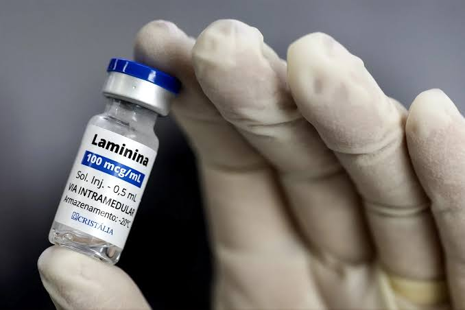 Anvisa mantém restrições à polilaminina e rebate críticas de pesquisadora da UFRJ